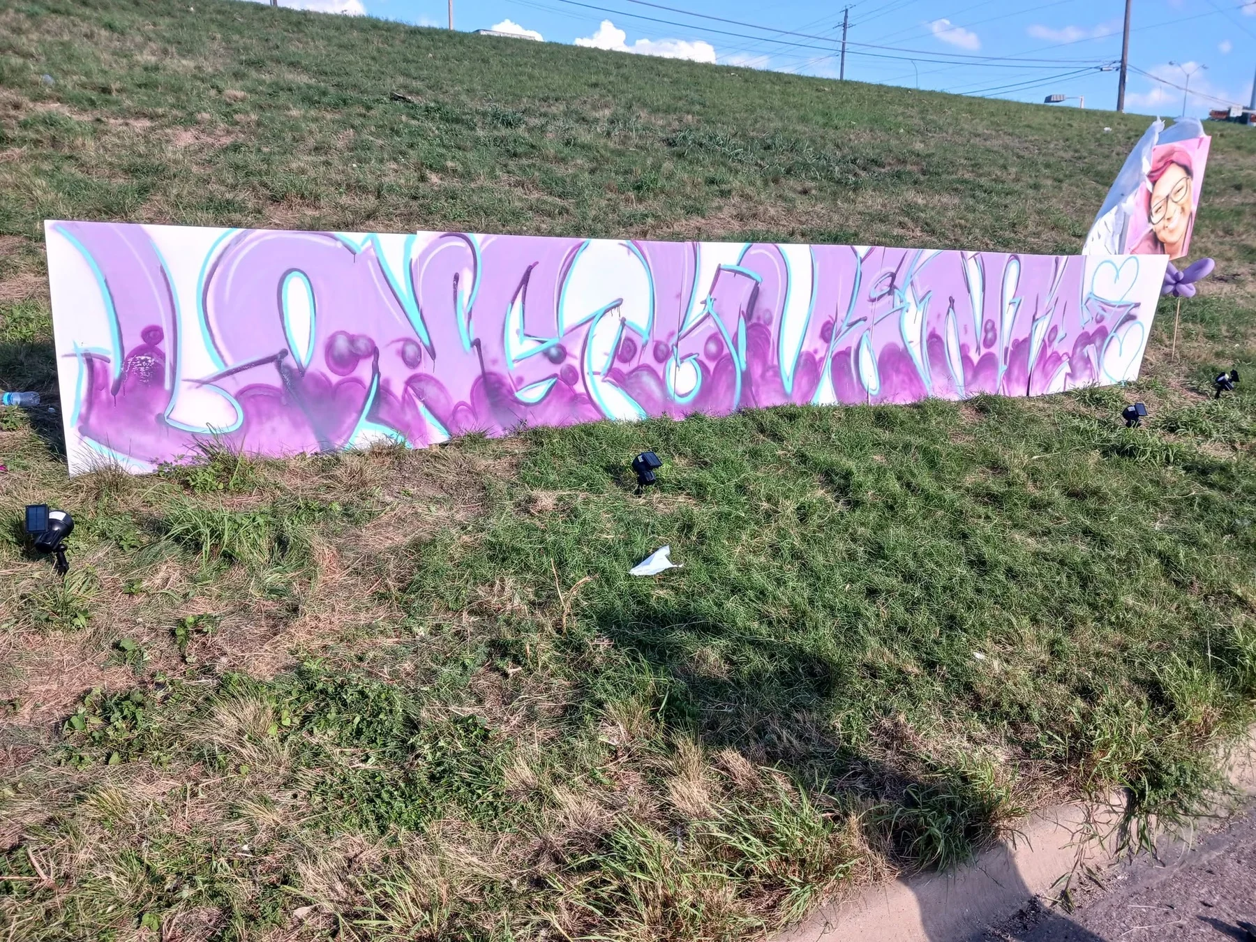 Large outdoor community mural installation